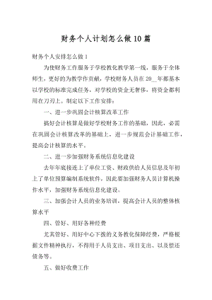 财务个人计划怎么做10篇范例.docx