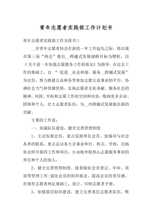 青年志愿者实践部工作计划书汇编.docx