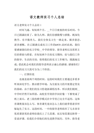 语文教师实习个人总结汇总.docx