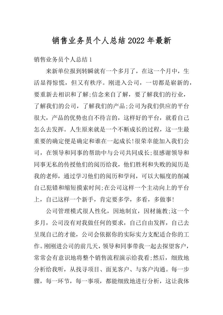 销售业务员个人总结2022年最新汇编.docx_第1页