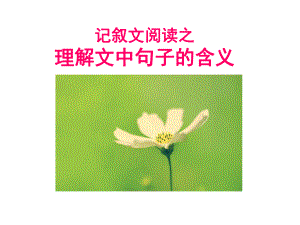 理解文中句子的含义.ppt