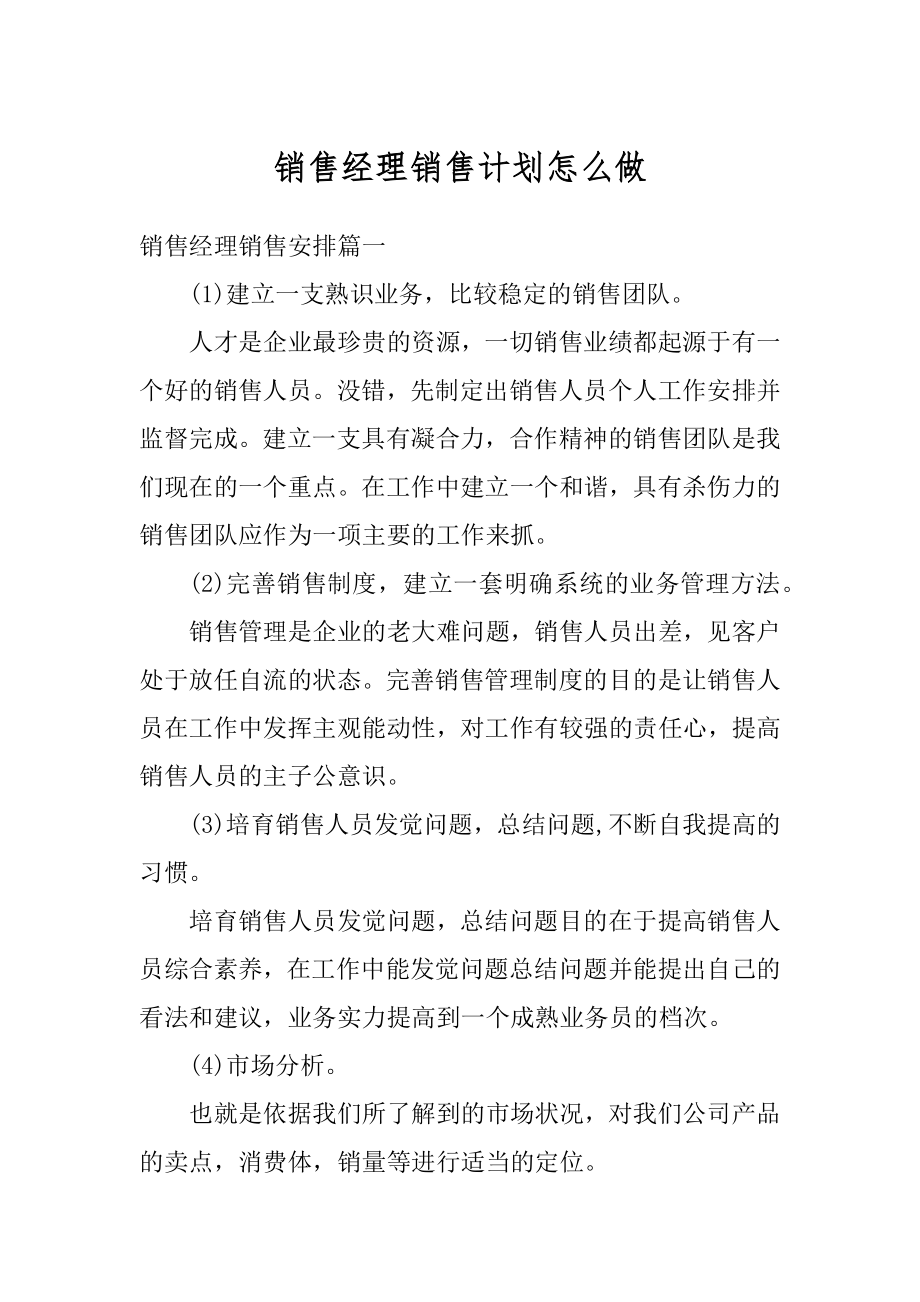 销售经理销售计划怎么做精选.docx_第1页