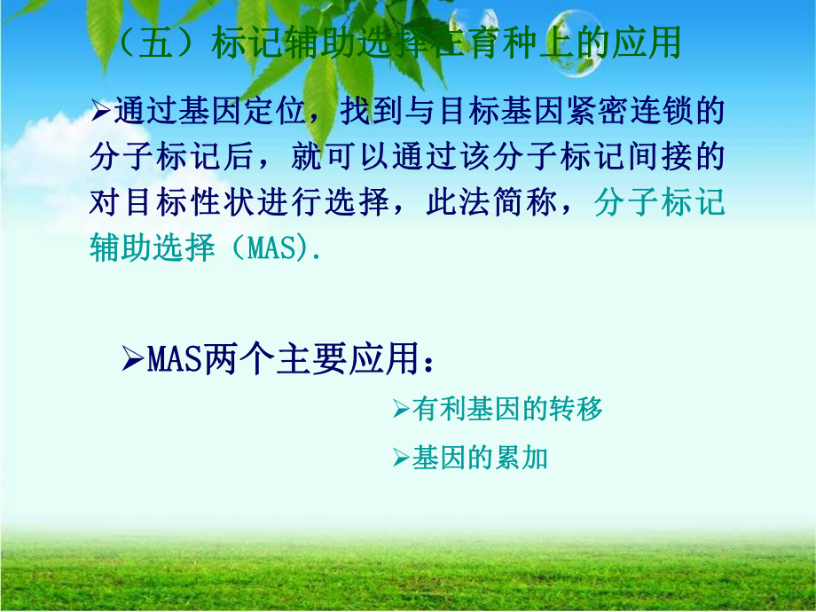 分子标记辅助选择育种useppt课件资料.ppt_第1页