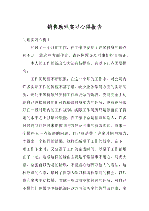 销售助理实习心得报告最新.docx