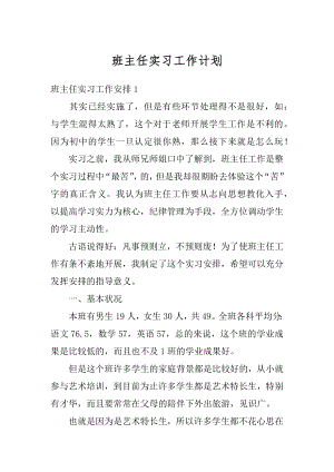 班主任实习工作计划优质.docx