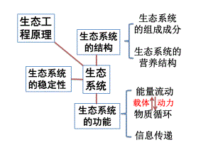 生态系统与环境第二轮复习.pptx