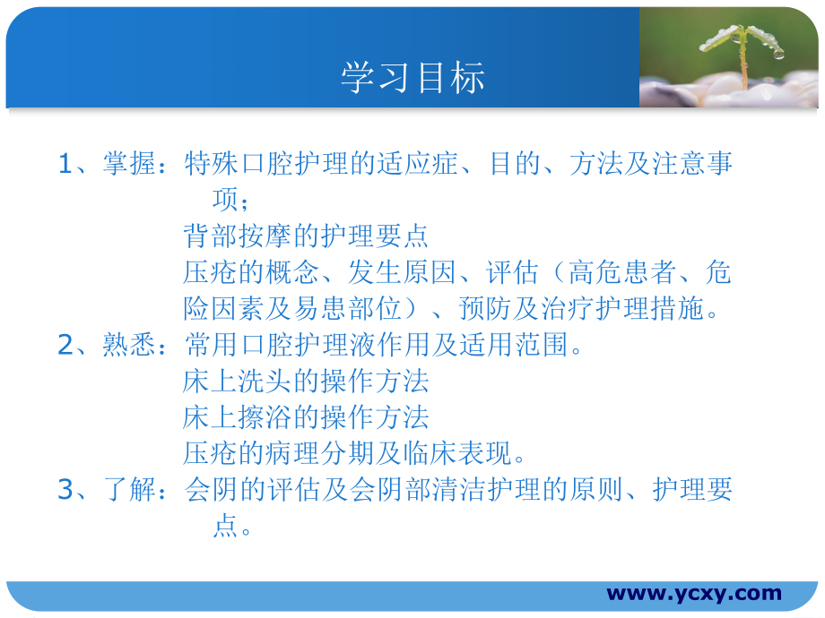 义齿的清洁护理ppt课件.ppt_第2页