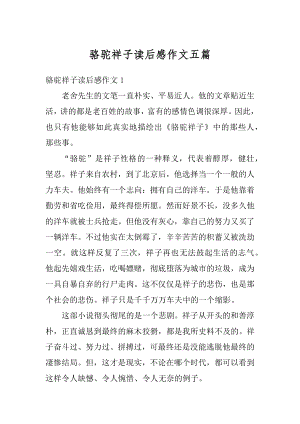 骆驼祥子读后感作文五篇最新.docx