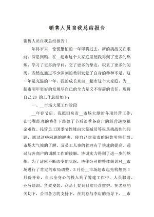 销售人员自我总结报告优质.docx