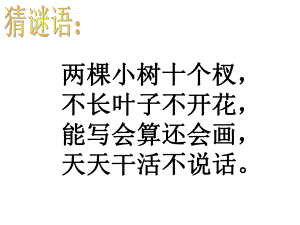 植树问题1PPT.ppt