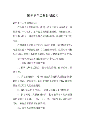 销售半年工作计划范文精选.docx