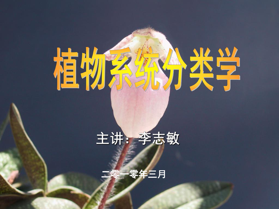 植物学分类系统ppt课件.ppt_第1页