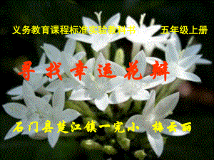 说课课件寻找幸运花瓣.ppt