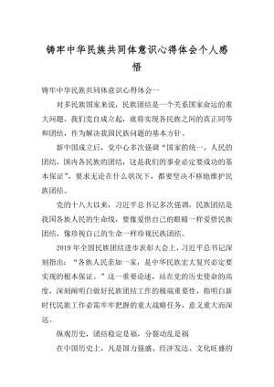 铸牢中华民族共同体意识心得体会个人感悟优质.docx