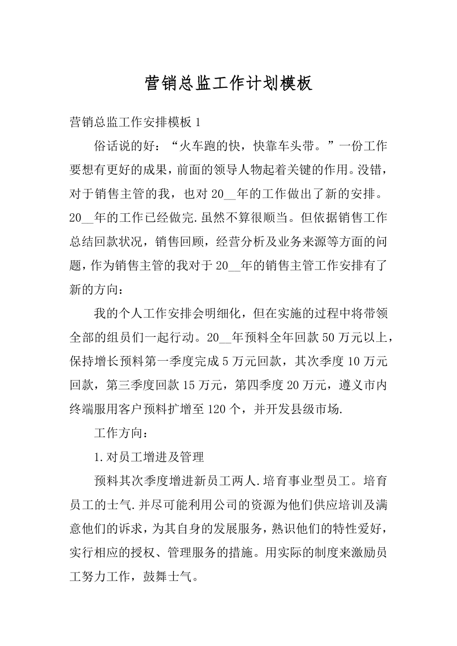 营销总监工作计划模板汇总.docx_第1页