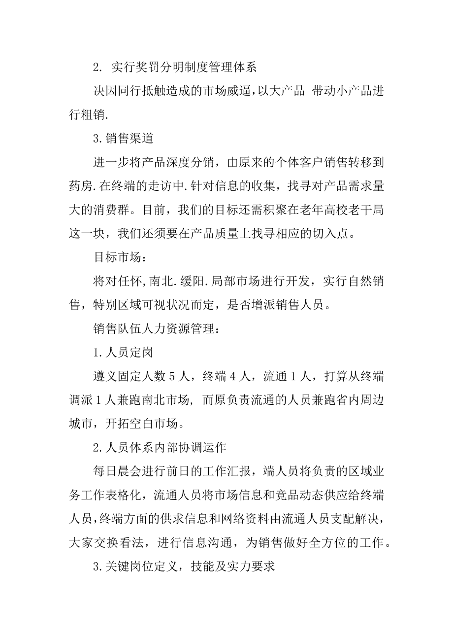 营销总监工作计划模板汇总.docx_第2页