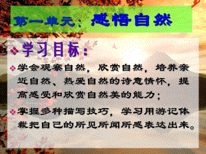 《黄山记》优秀PPT课件.ppt