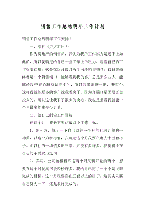 销售工作总结明年工作计划精编.docx