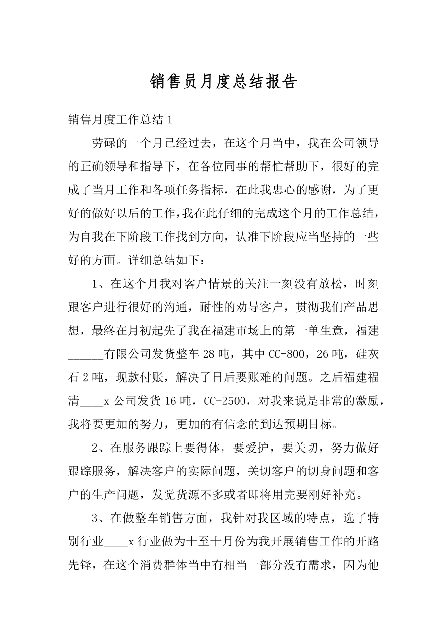 销售员月度总结报告范本.docx_第1页