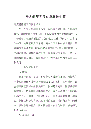 语文老师实习自我总结十篇精编.docx