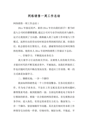 网络销售一周工作总结例文.docx