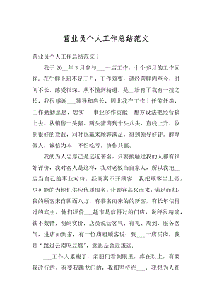 营业员个人工作总结范文优质.docx