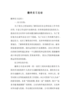 翻译实习总结范文.docx