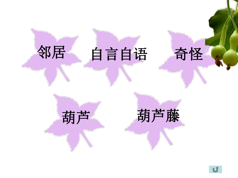 我要的是葫芦（语文）.ppt_第2页