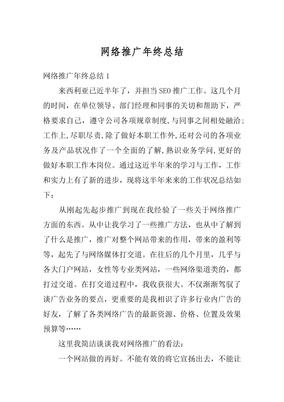 网络推广年终总结例文.docx_第1页