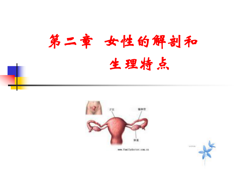 中医妇科学总论ppt课件.ppt_第1页