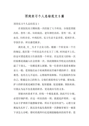 顶岗实习个人总结范文5篇精选.docx