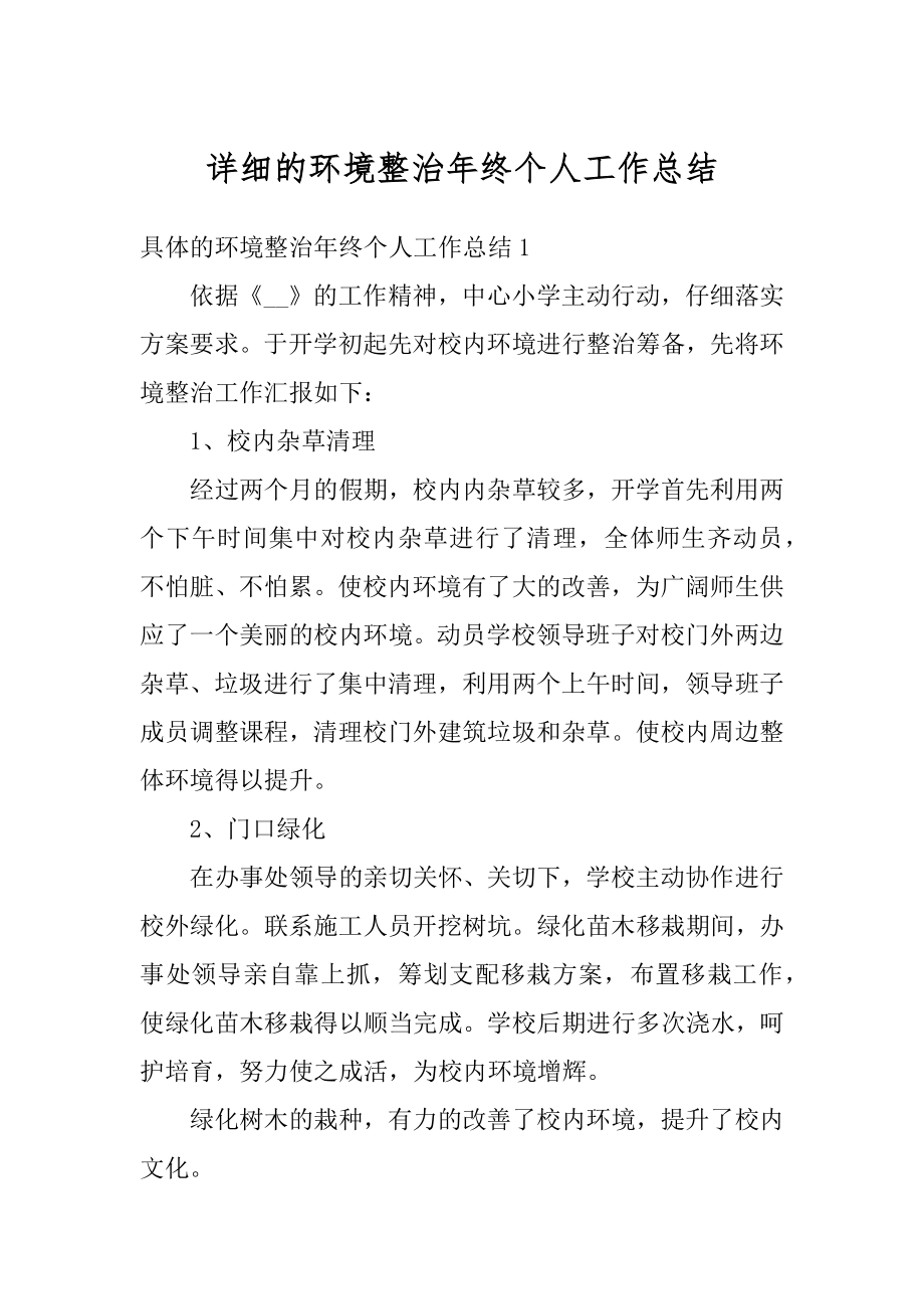 详细的环境整治年终个人工作总结范本.docx_第1页