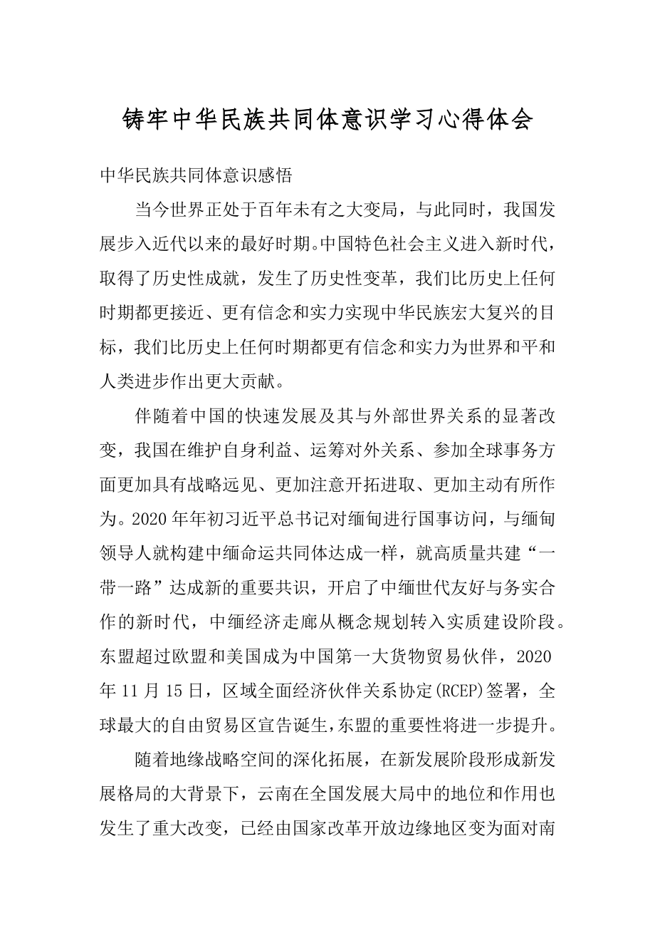 铸牢中华民族共同体意识学习心得体会范例.docx_第1页