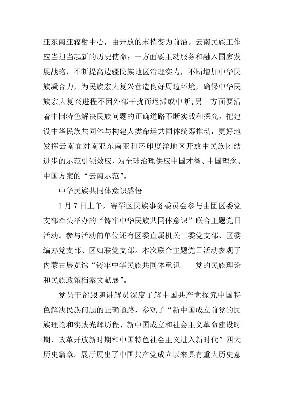 铸牢中华民族共同体意识学习心得体会范例.docx_第2页