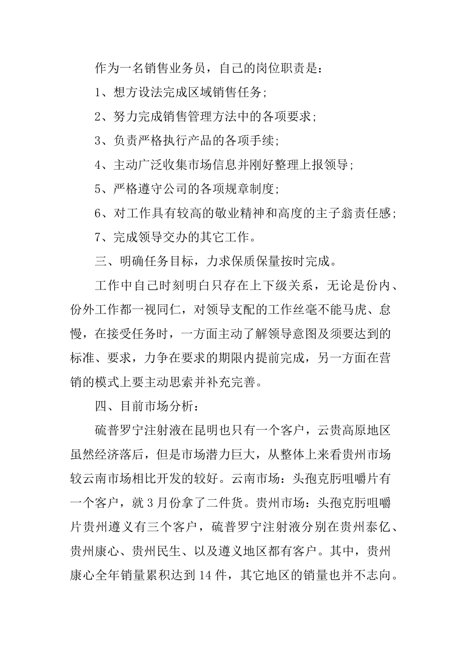 药品销售工作总结与计划例文.docx_第2页