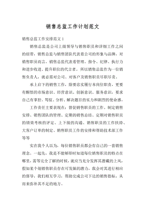 销售总监工作计划范文最新.docx