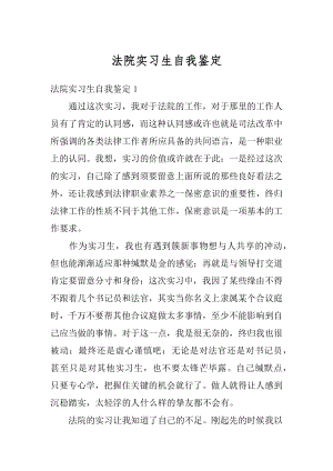 法院实习生自我鉴定例文.docx