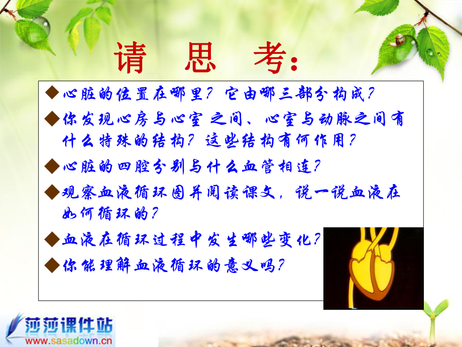 输送血液的泵_心脏.ppt_第2页