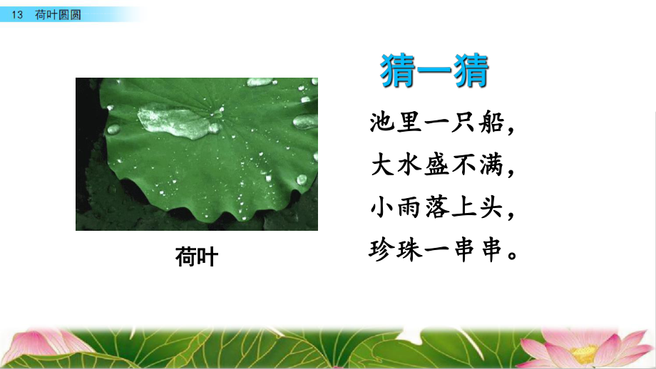 部编版一年级语文下册第六单元第13课《荷叶圆圆》ppt课件.ppt_第2页