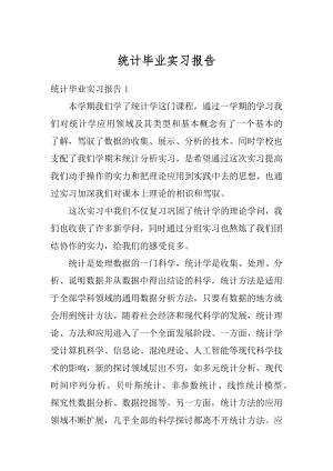 统计毕业实习报告精编.docx