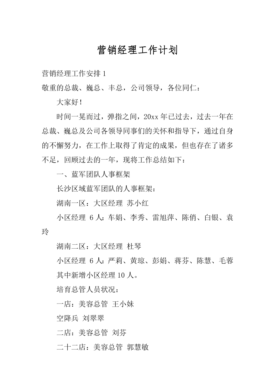 营销经理工作计划优质.docx_第1页