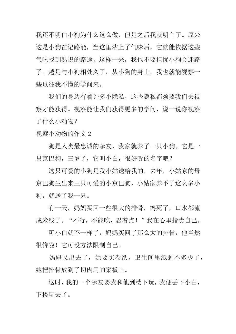 观察小动物的作文优质.docx_第2页