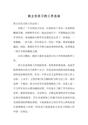 班主任实习的工作总结优质.docx