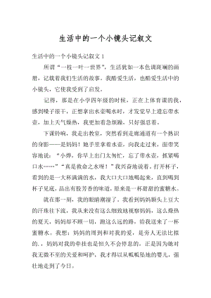 生活中的一个小镜头记叙文精选.docx