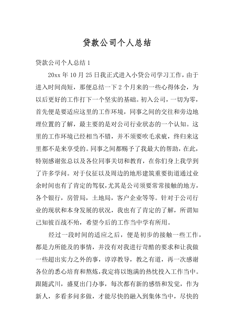 贷款公司个人总结精选.docx_第1页