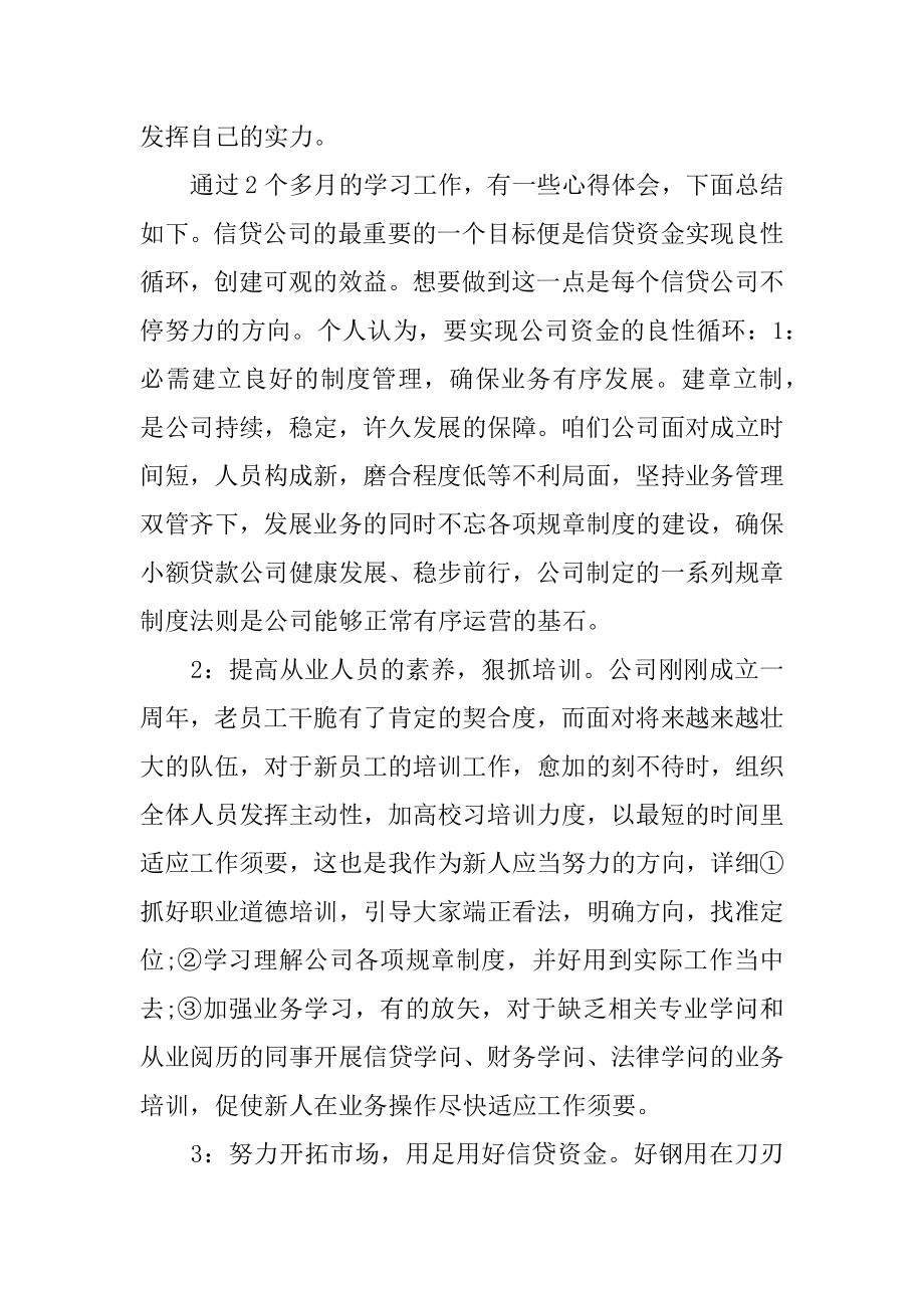 贷款公司个人总结精选.docx_第2页