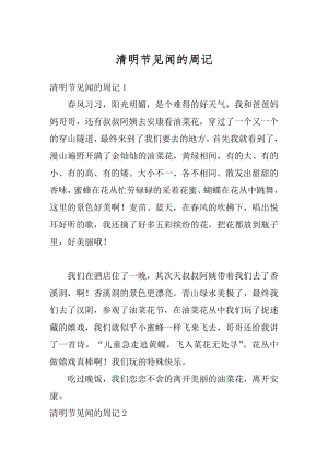 清明节见闻的周记最新.docx