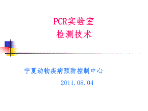 PCR实验室检测技术ppt课件.ppt