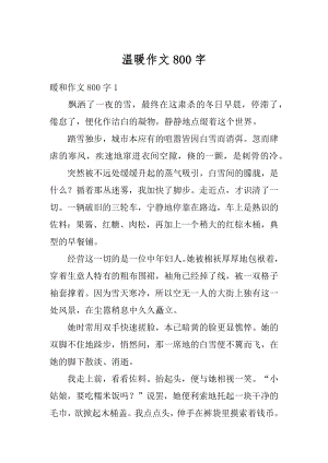 温暖作文800字优质.docx