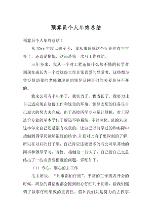 预算员个人年终总结例文.docx